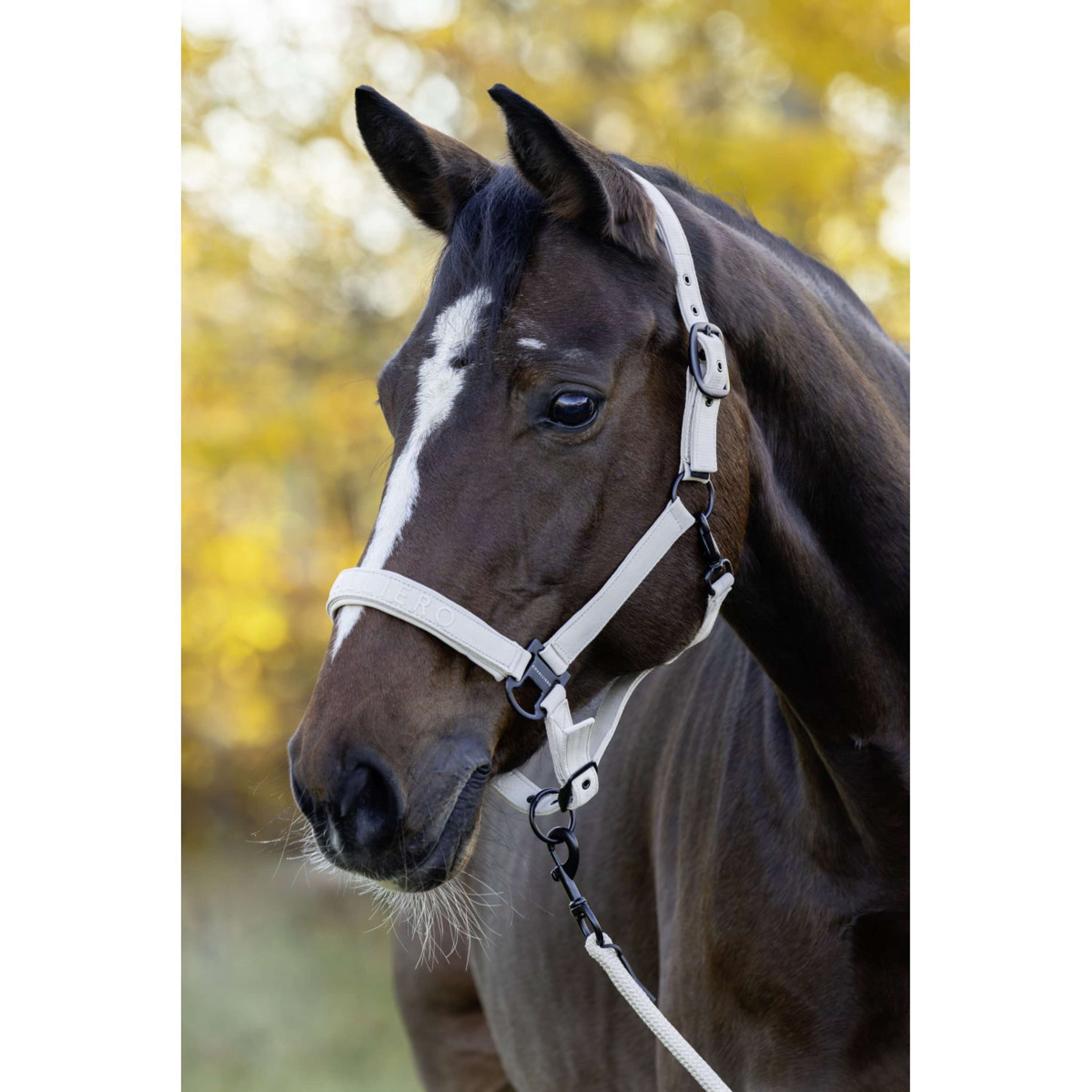 Covalliero Halster AW26 Beige