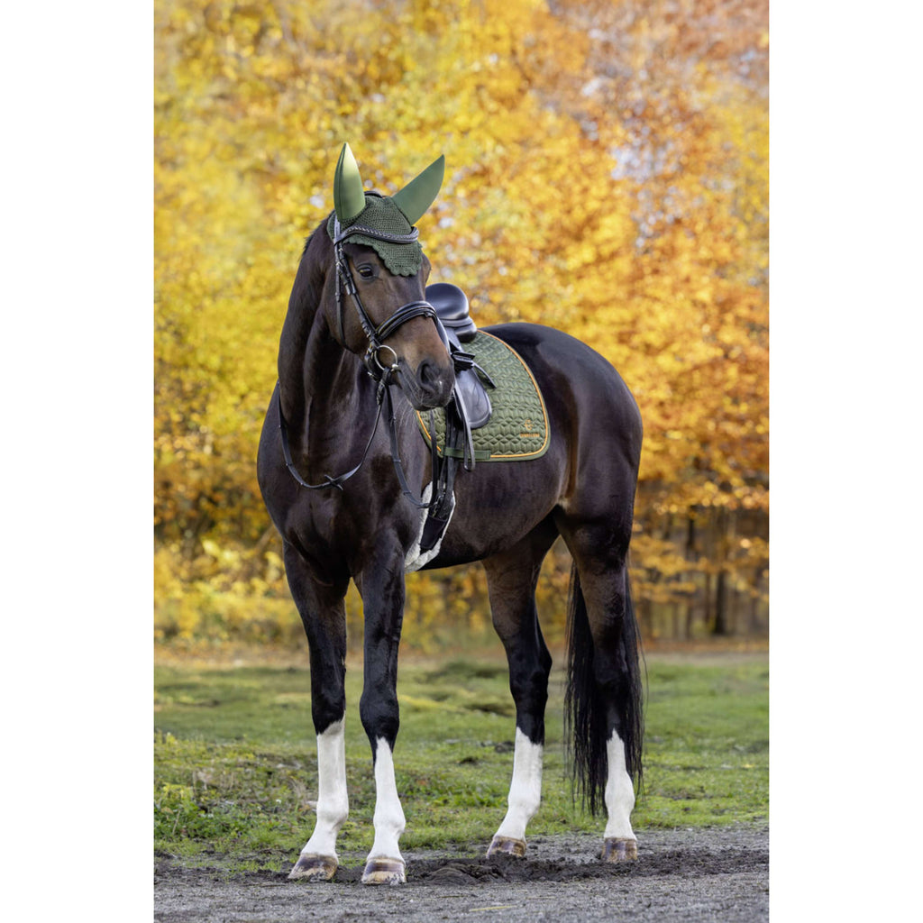 Covalliero Zadeldekje Soft AW26 Dressuur Forest Green