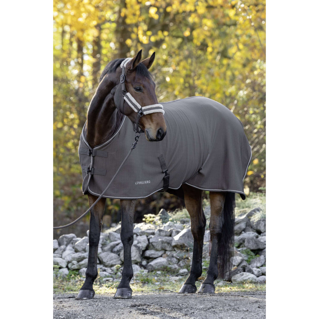 Covalliero Zweetdeken Premium AW26 Milky Chocolate