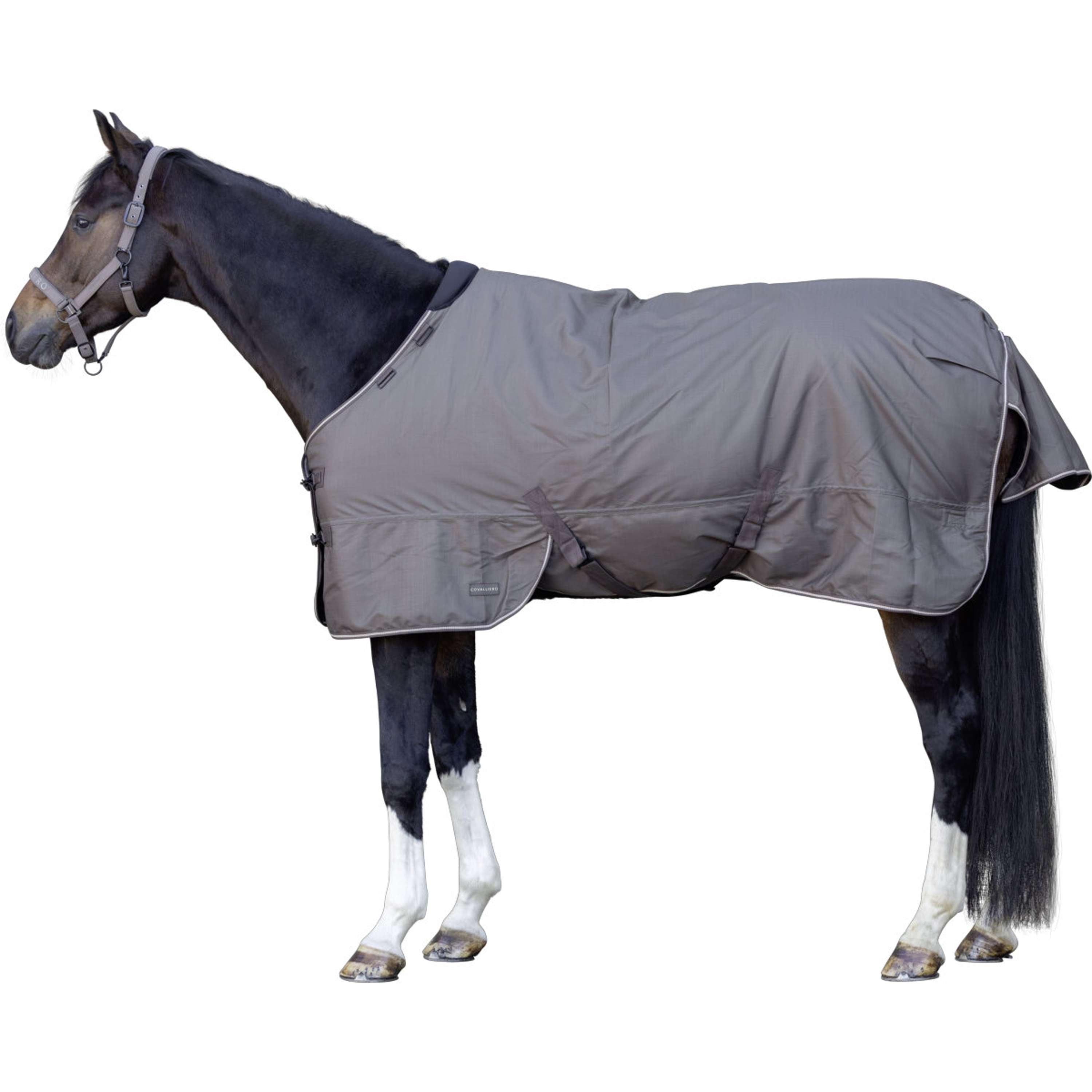 Covalliero Outdoordeken AW26 100g Milky Chocolate