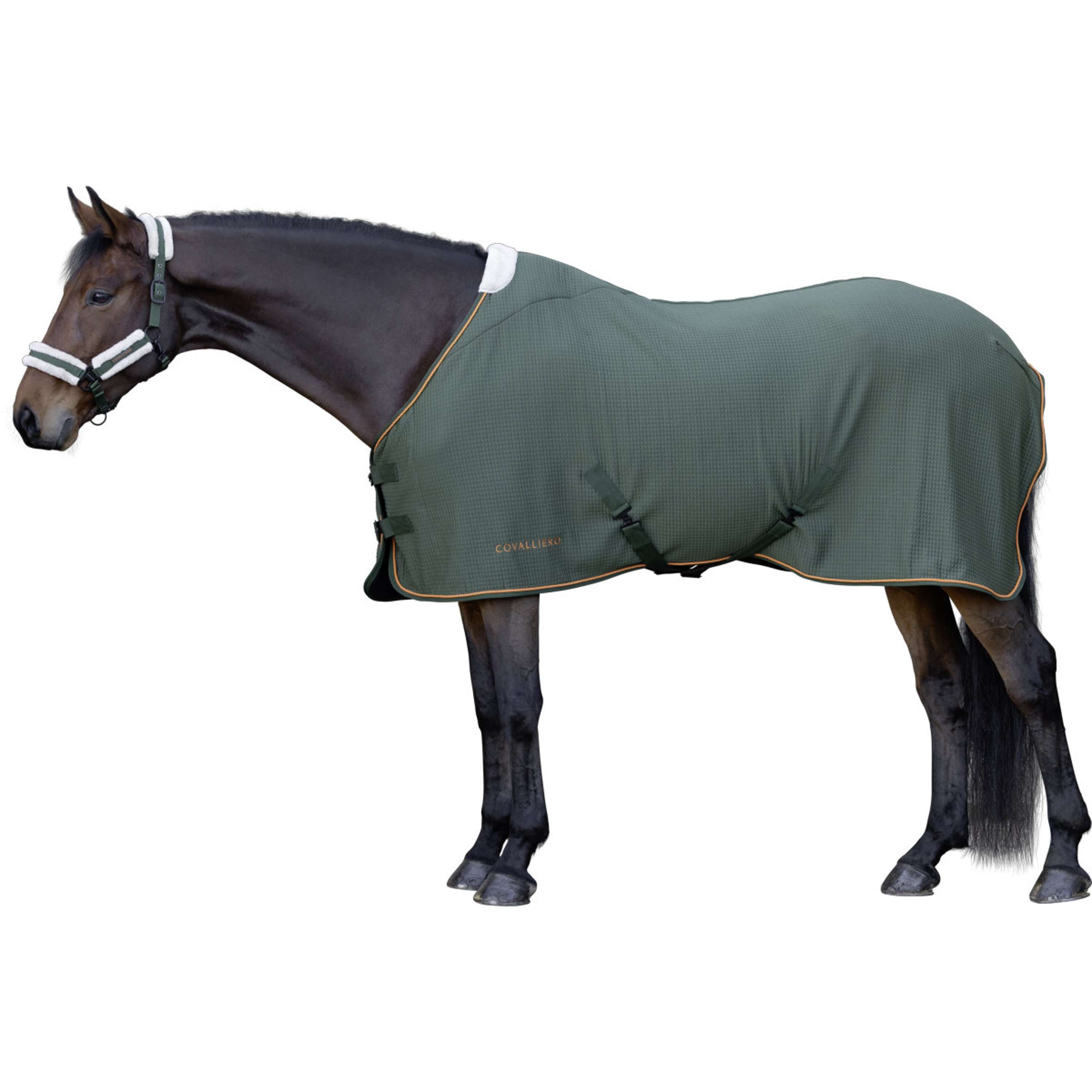 Covalliero Zweetdeken Premium AW26 Forest Green