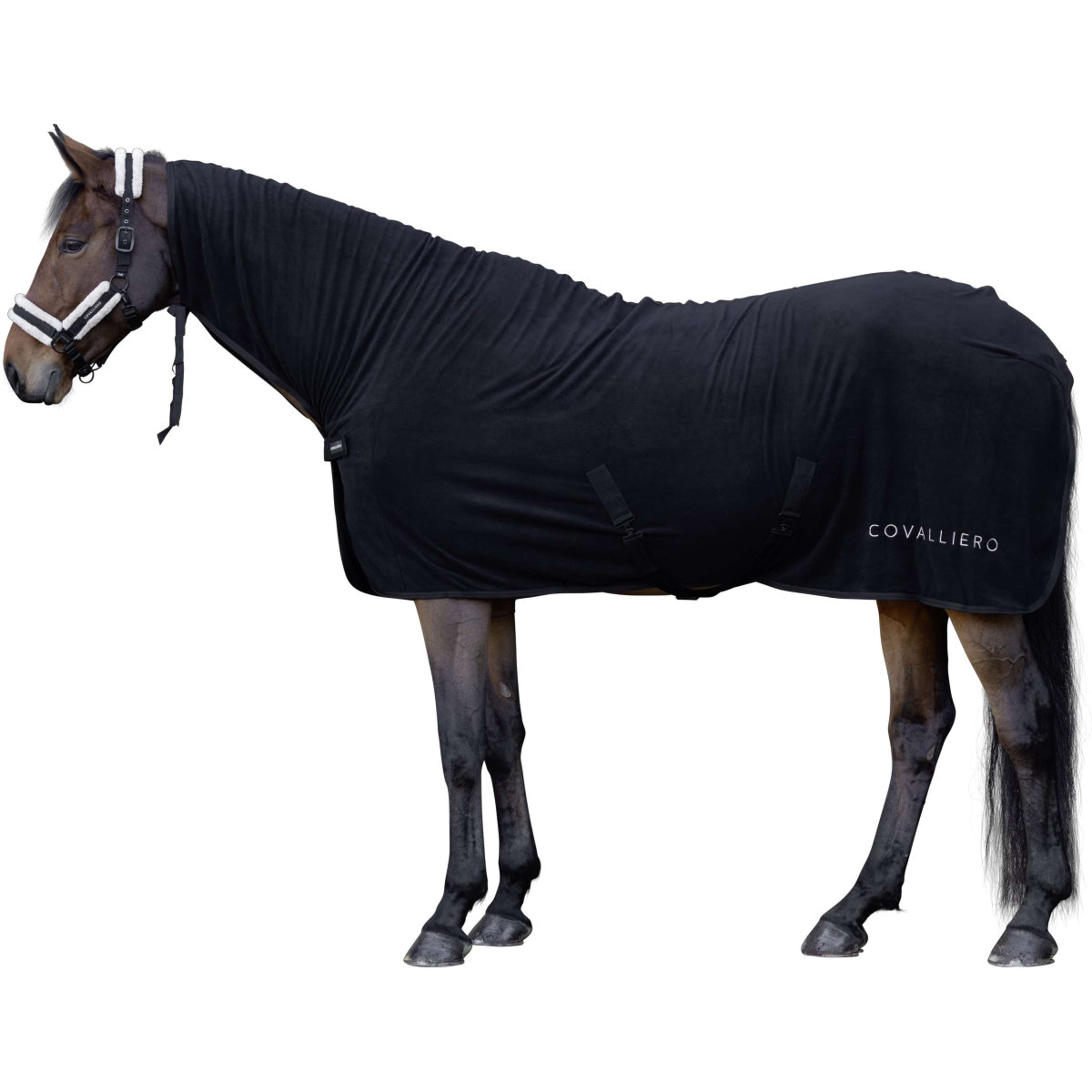 Covalliero Zweetdeken AW26 Zwart