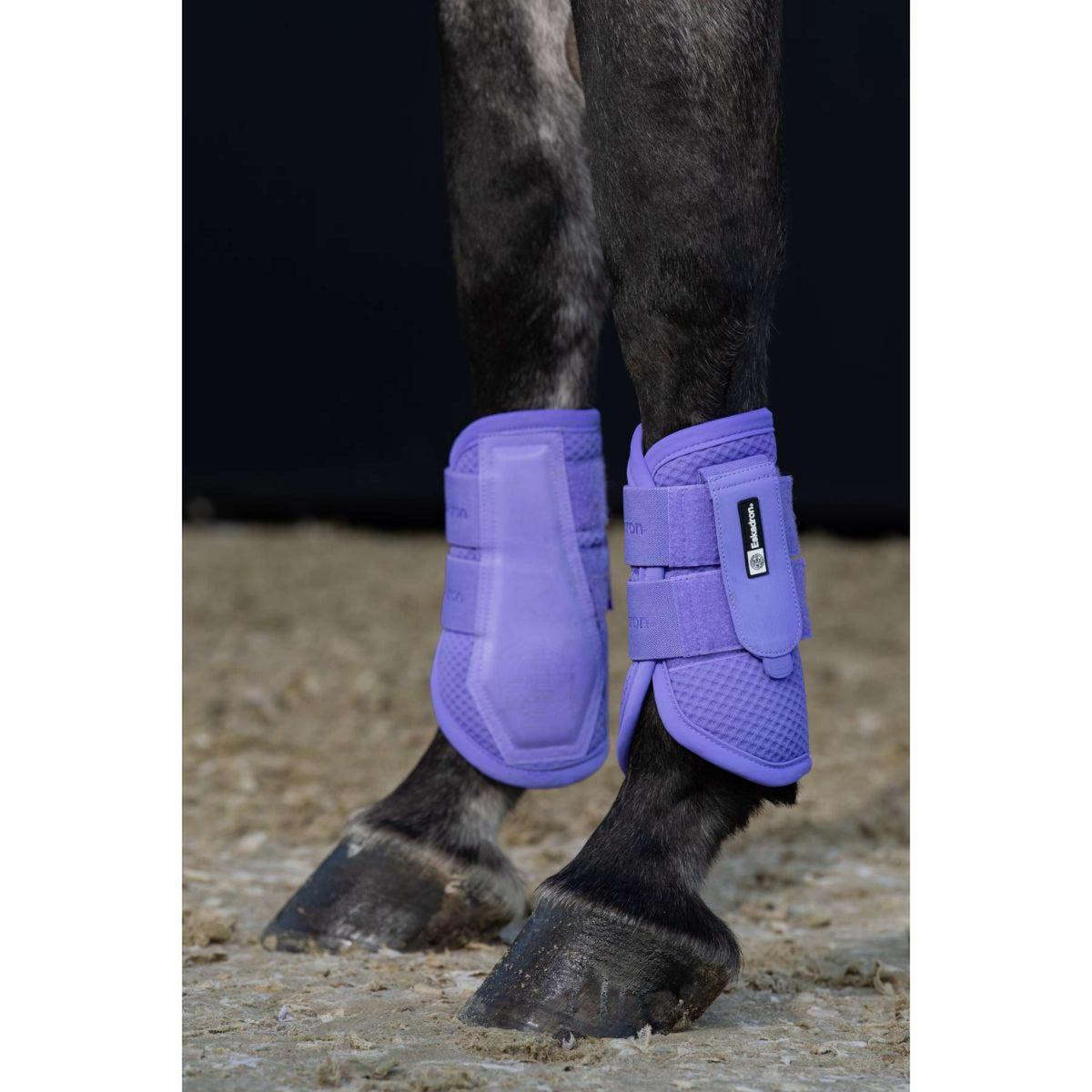 Eskadron Dressage Boots Mesh Dynamic Paars