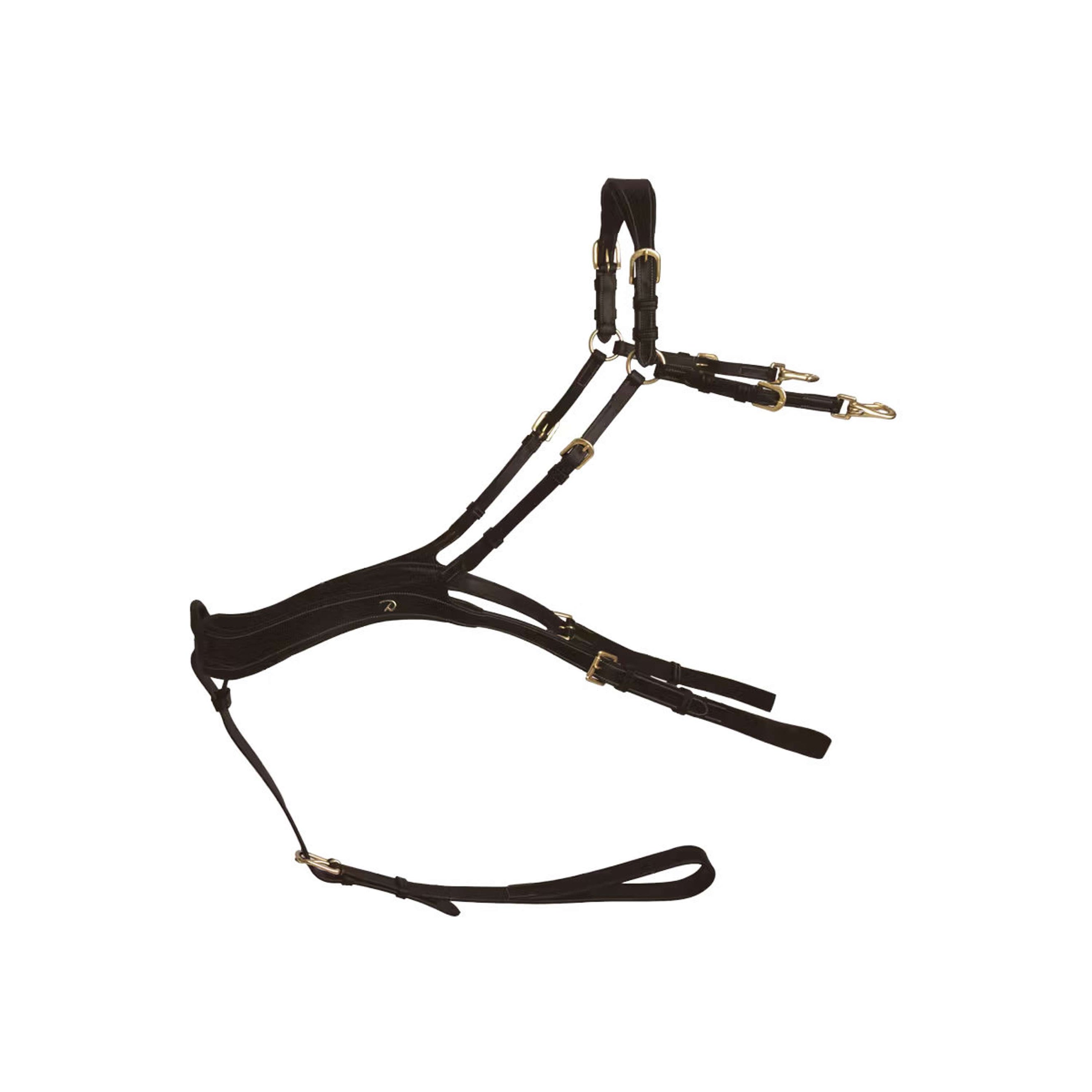 Dyon Borsttuig Anatomical Bruin/Messing
