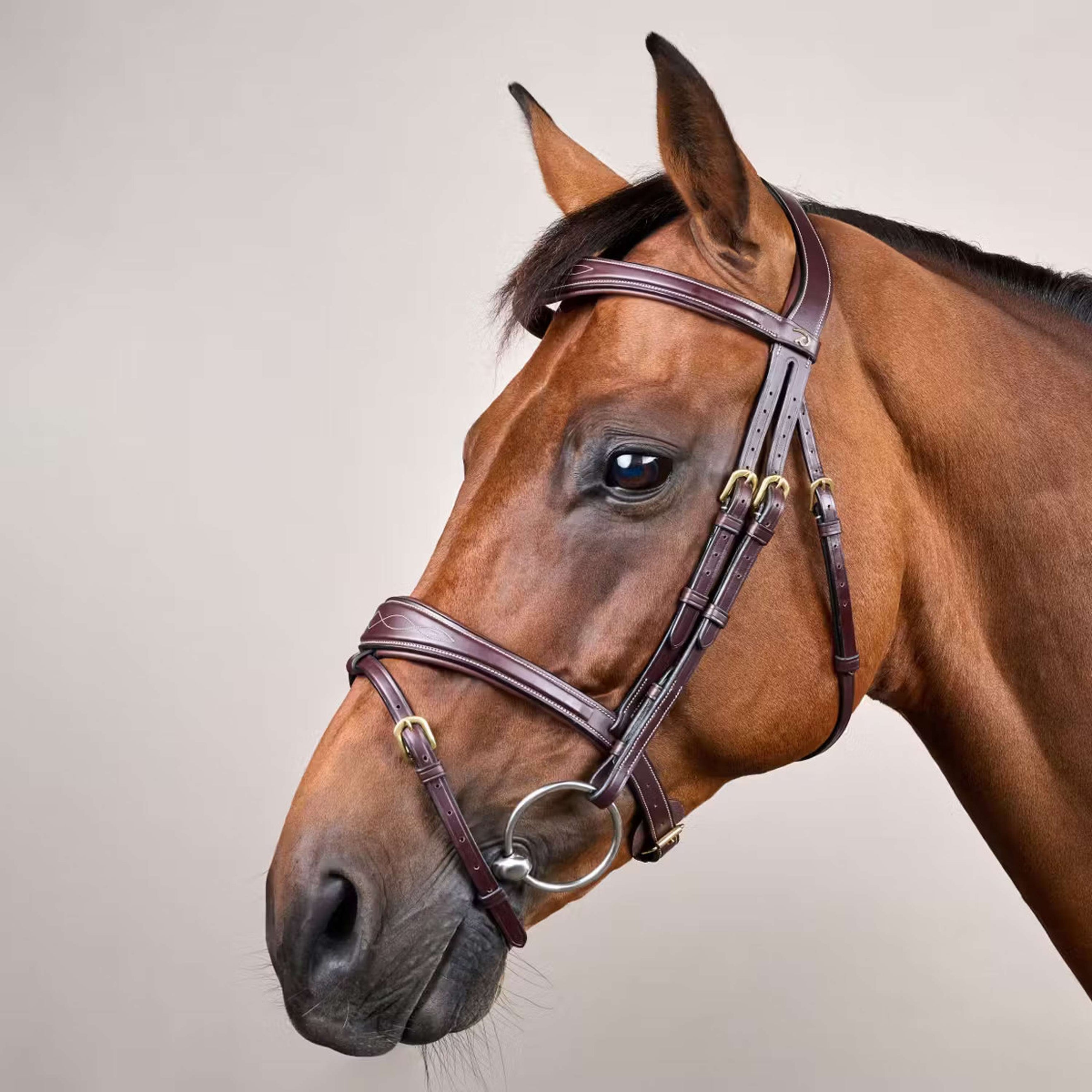 Dyon Hoofdstel Anatomic Flash Bruin Dyon Hoofdstel Anatomic Flash Bruin