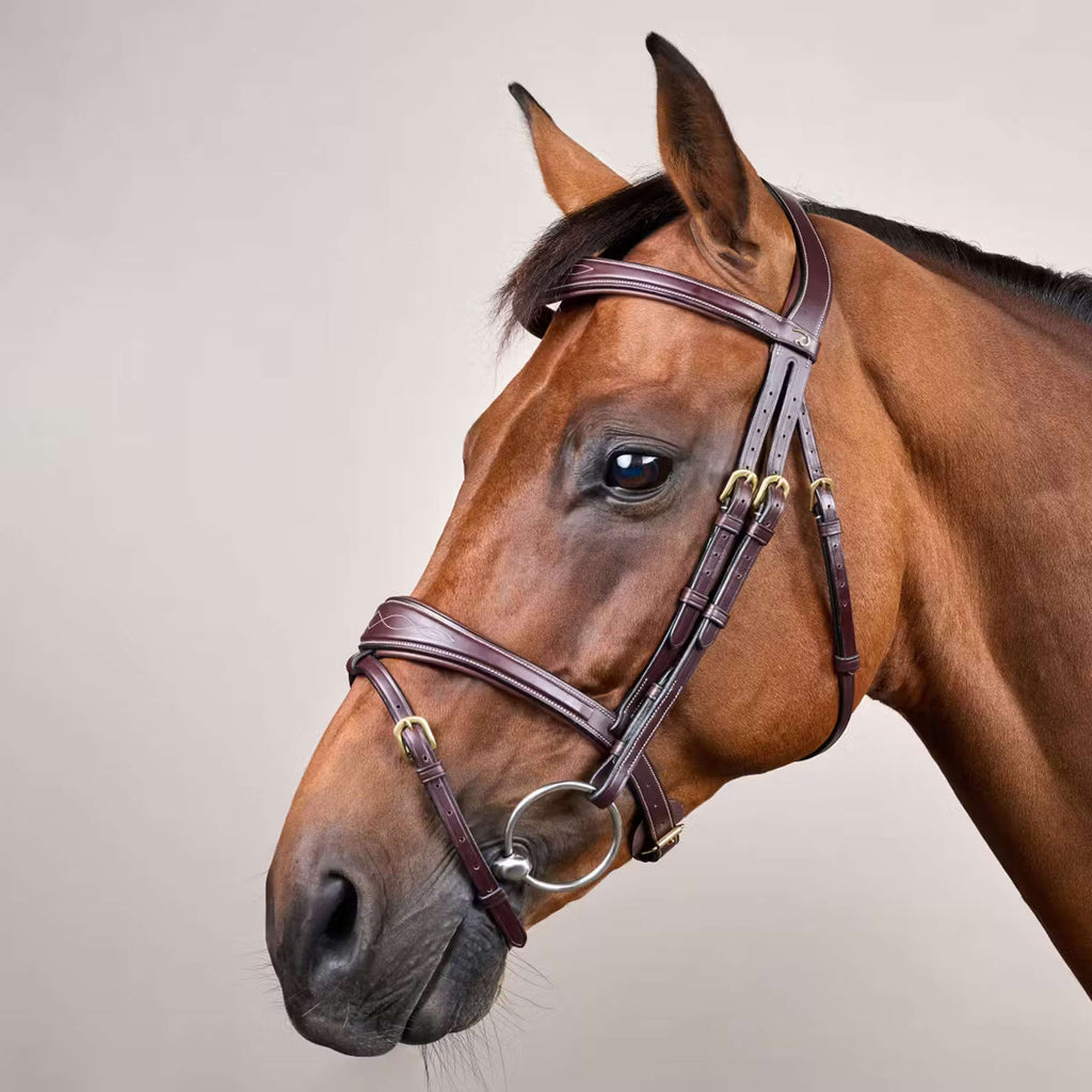 Dyon Hoofdstel Anatomic Flash Bruin