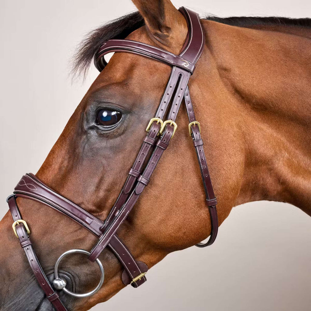 Dyon Hoofdstel Anatomic Flash Bruin
