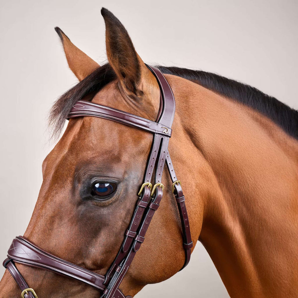 Dyon Hoofdstel Anatomic Flash Bruin