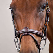 Dyon Hoofdstel Flash Bruin
