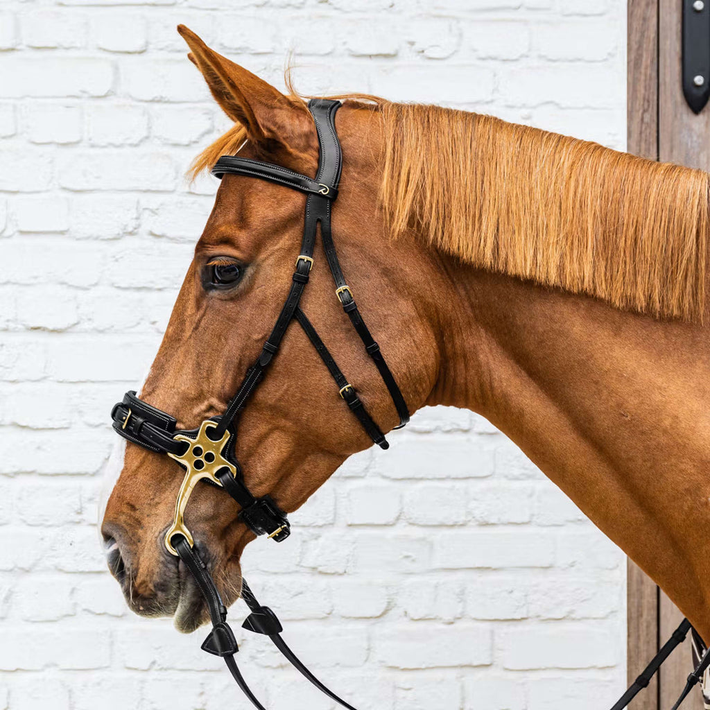 Dyon Hoofdstel Hackamore Zwart