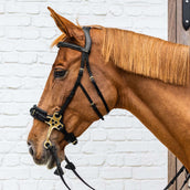 Dyon Hoofdstel Hackamore Zwart