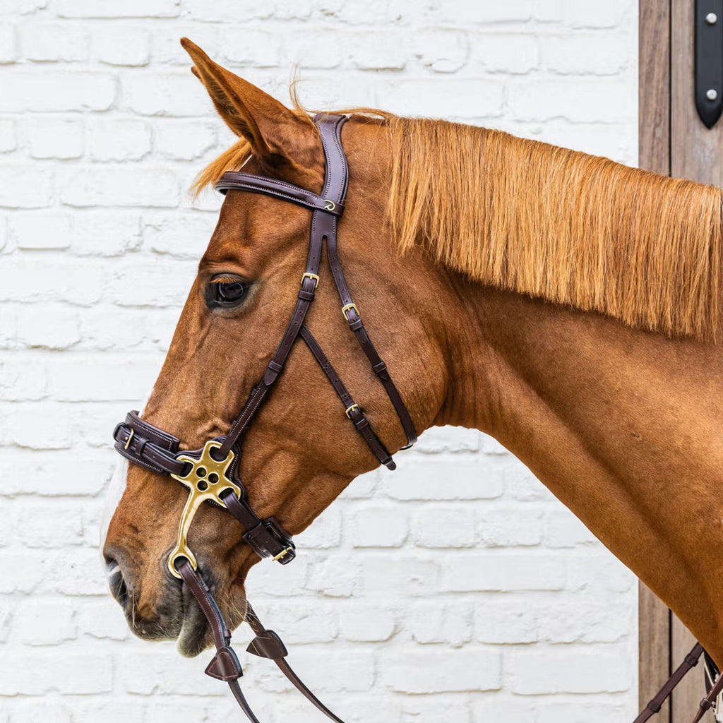 Dyon Hoofdstel Hackamore Bruin