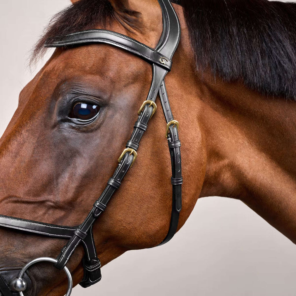 Dyon Hoofdstel X-Fit Zwart