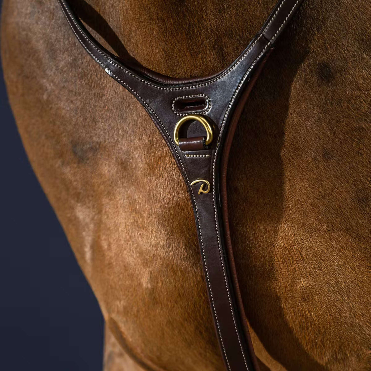 Dyon Martingaal Yoke Bruin