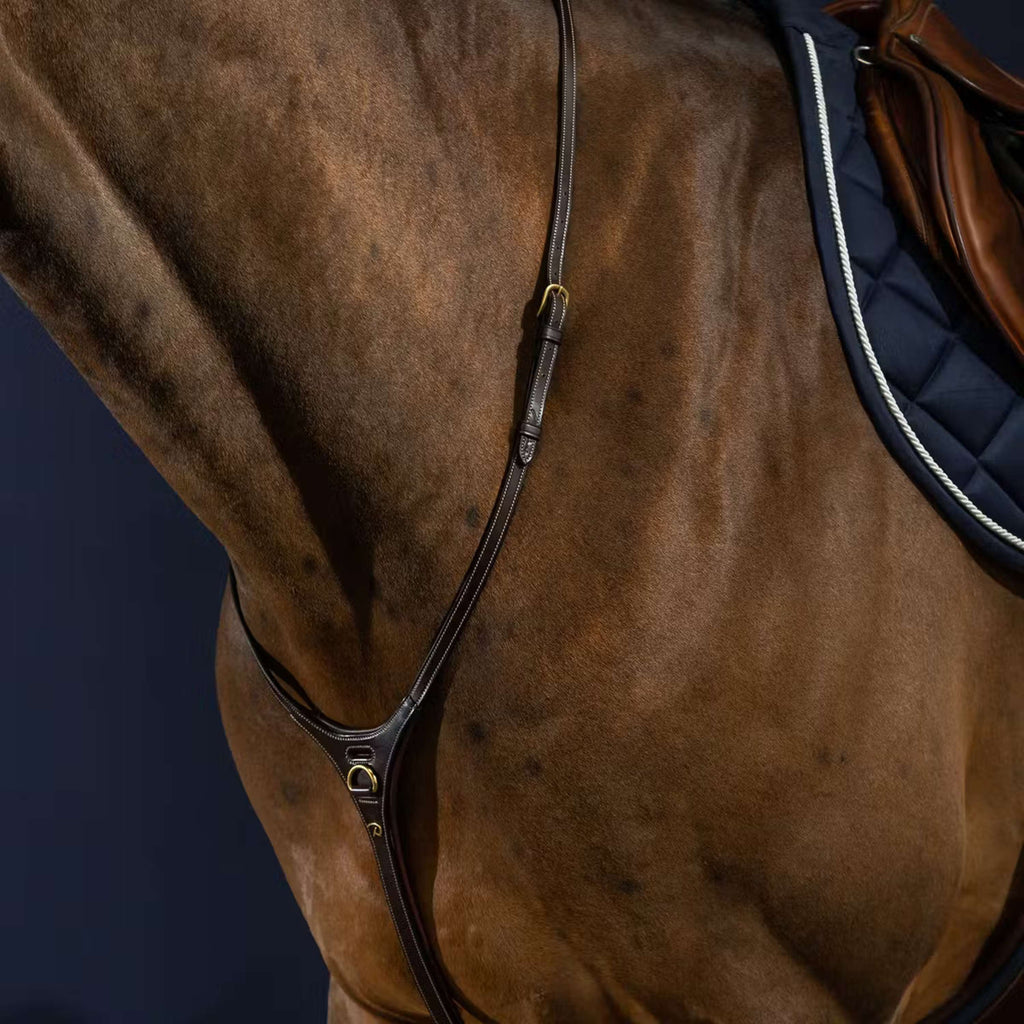 Dyon Martingaal Yoke Bruin
