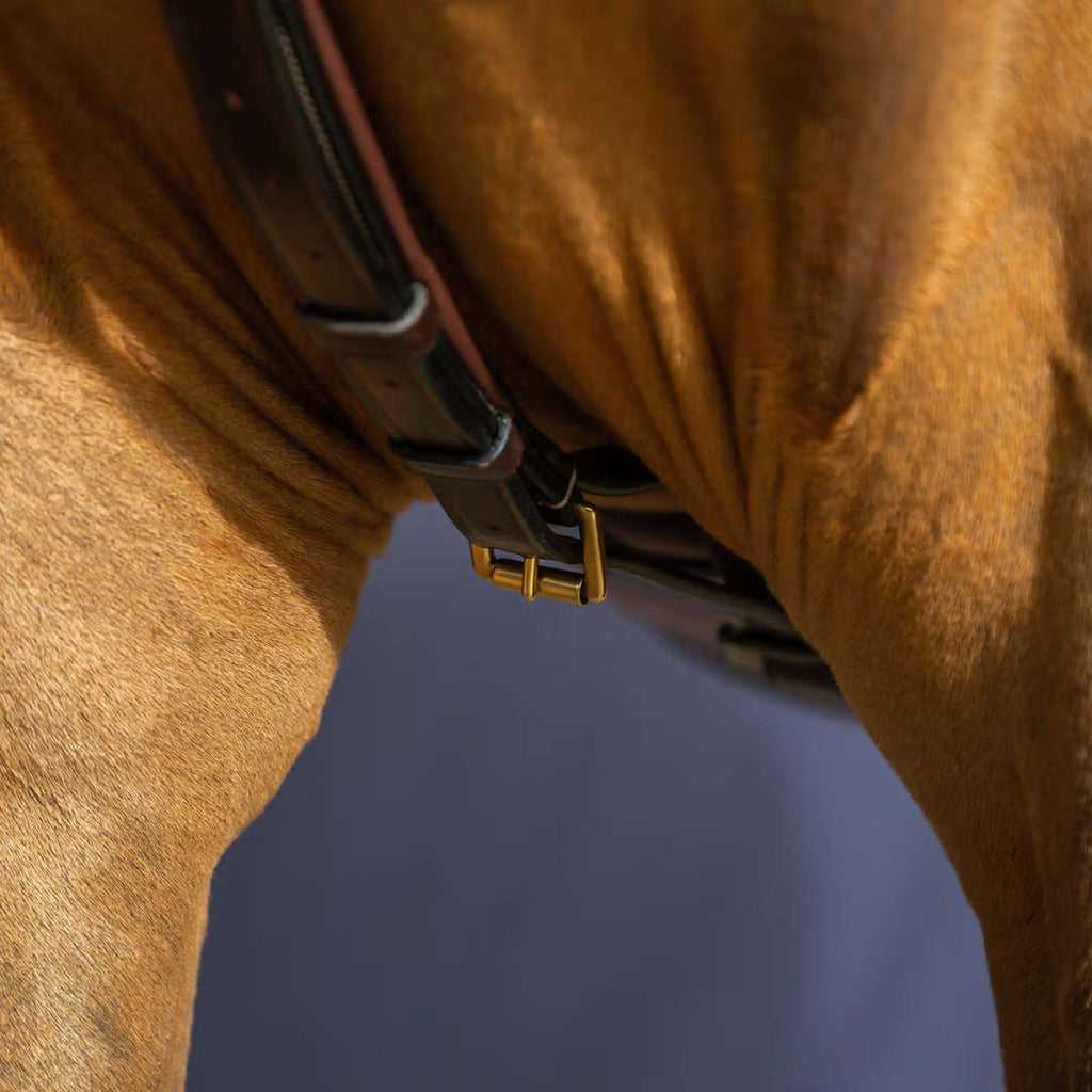 Dyon Martingaal Yoke Bruin