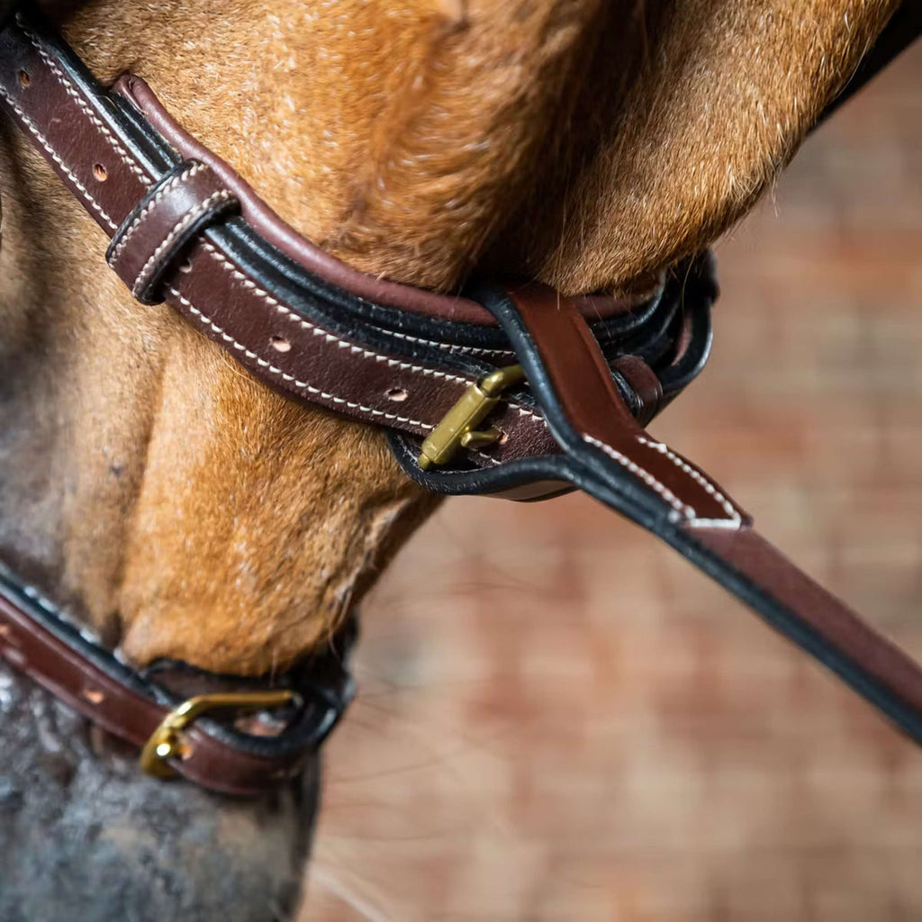 Dyon Martingaal Voorstuk Standing Bruin