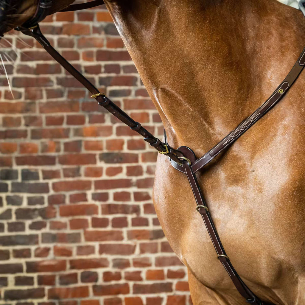 Dyon Martingaal Voorstuk Standing Bruin