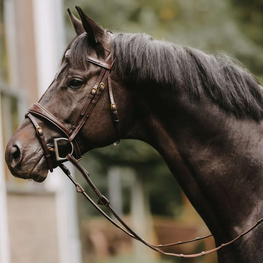 Dyon Teugels Hunter 5/8 met Leren Stops Bruin