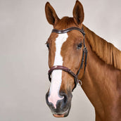 Dyon Bitloos Hoofdstel Bruin