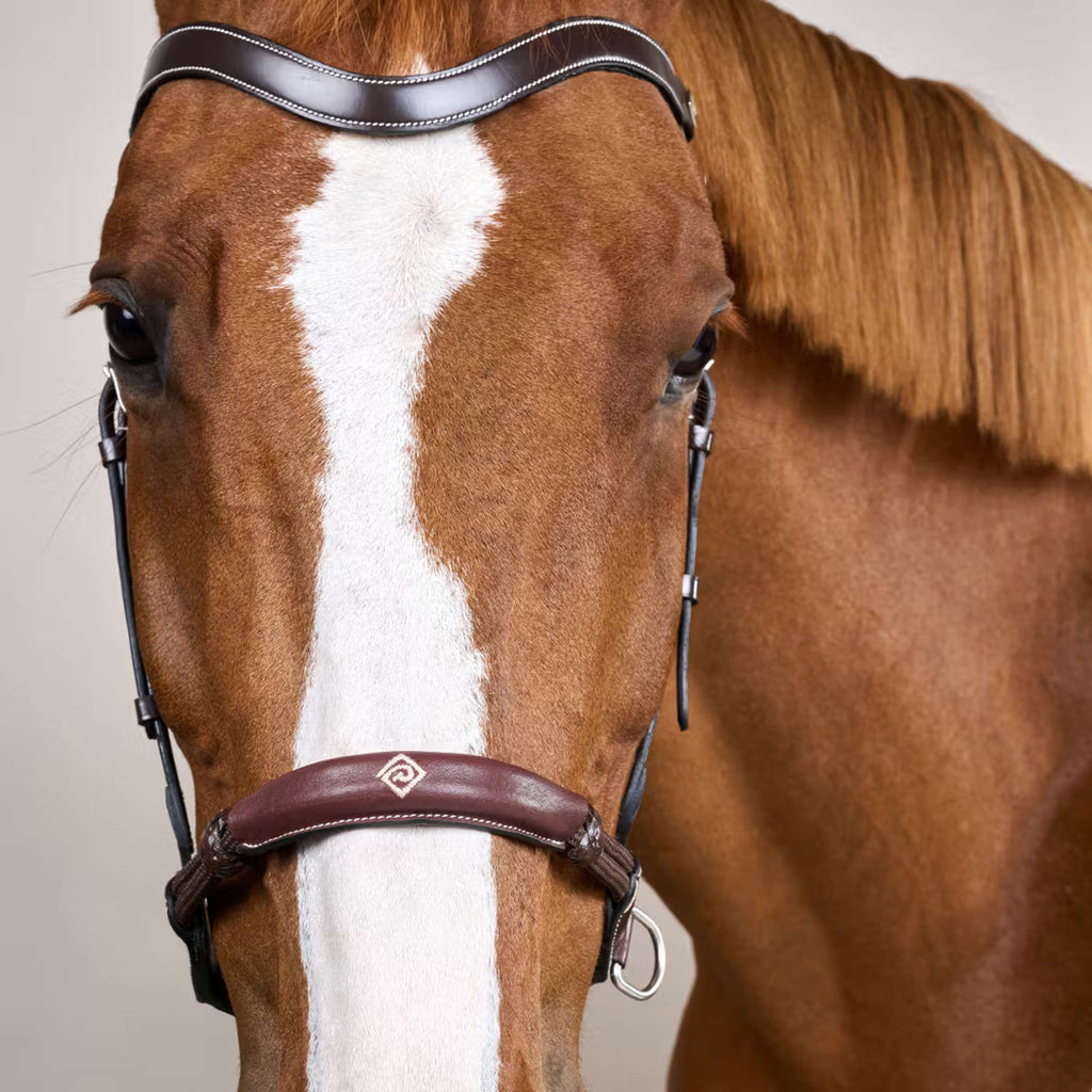 Dyon Bitloos Hoofdstel Bruin