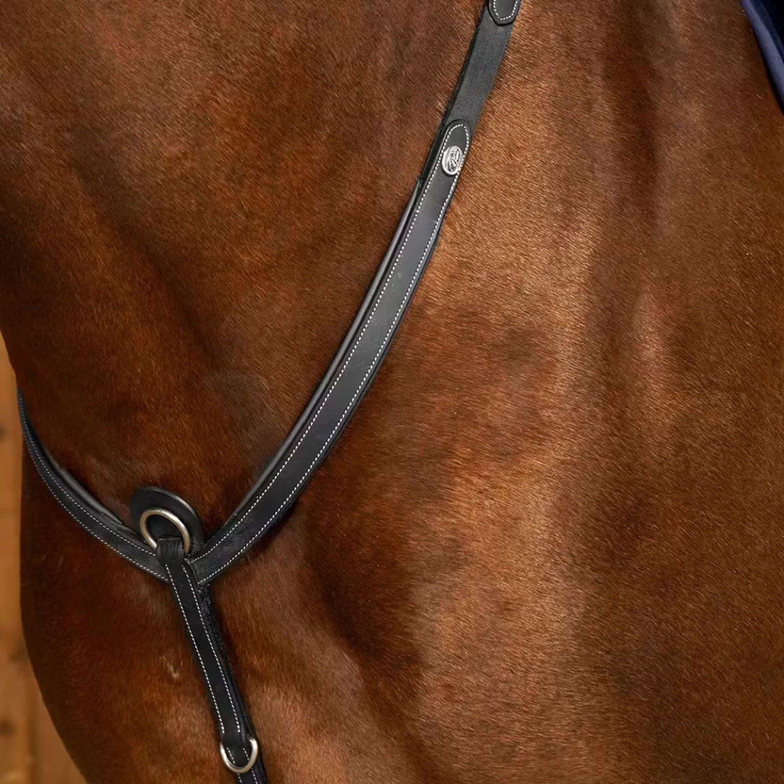 Dyon Martingaal Working Breastplate Zwart Dyon Martingaal Working Breastplate Zwart