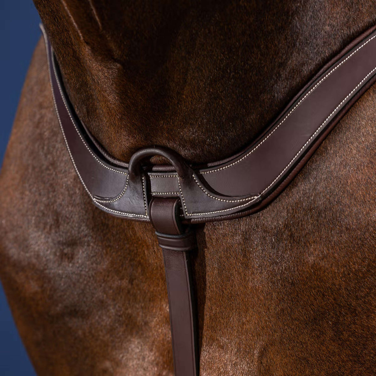 Dyon Borsttuig Anatomical Bruin/Zilver