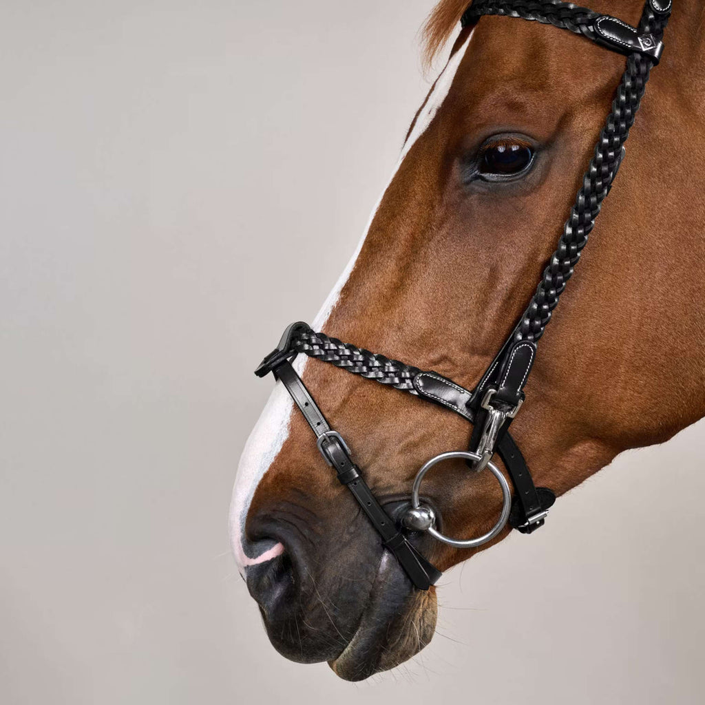 Dyon Hoofdstel Training Zwart