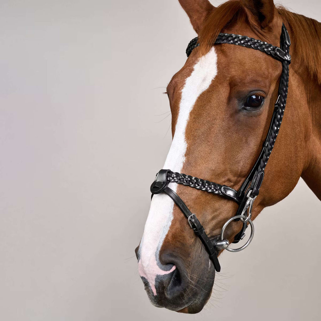 Dyon Hoofdstel Training Zwart