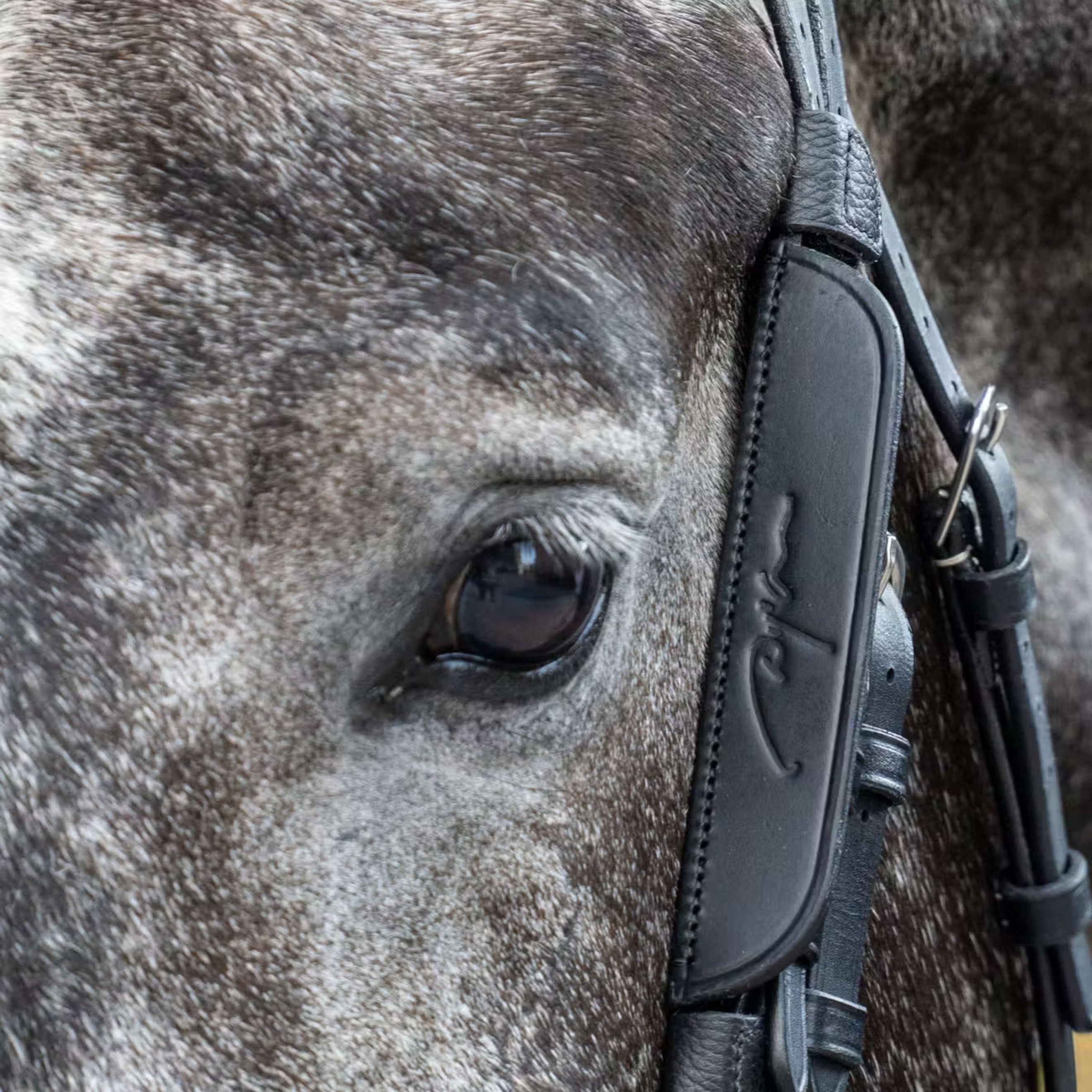 Dyon Blinkers Zwart Dyon Blinkers Zwart