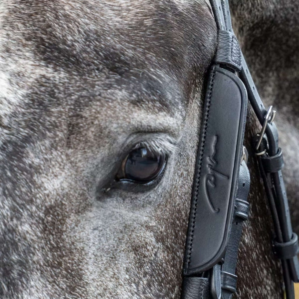 Dyon Blinkers Zwart