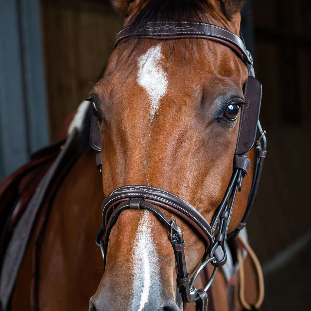 Dyon Blinkers Bruin