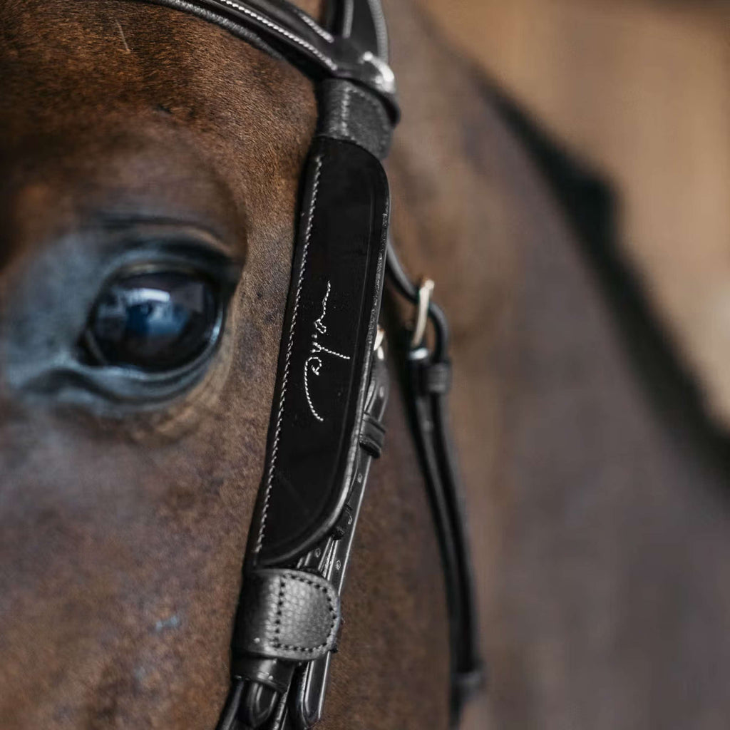 Dyon Blinkers Fancy Zwart