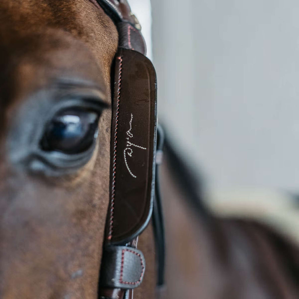Dyon Blinkers Fancy Bruin