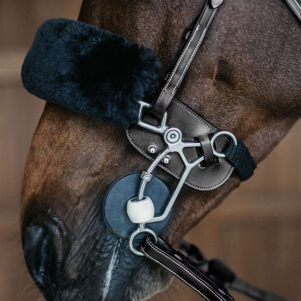 Dyon Hackamore Bescherming Zwart