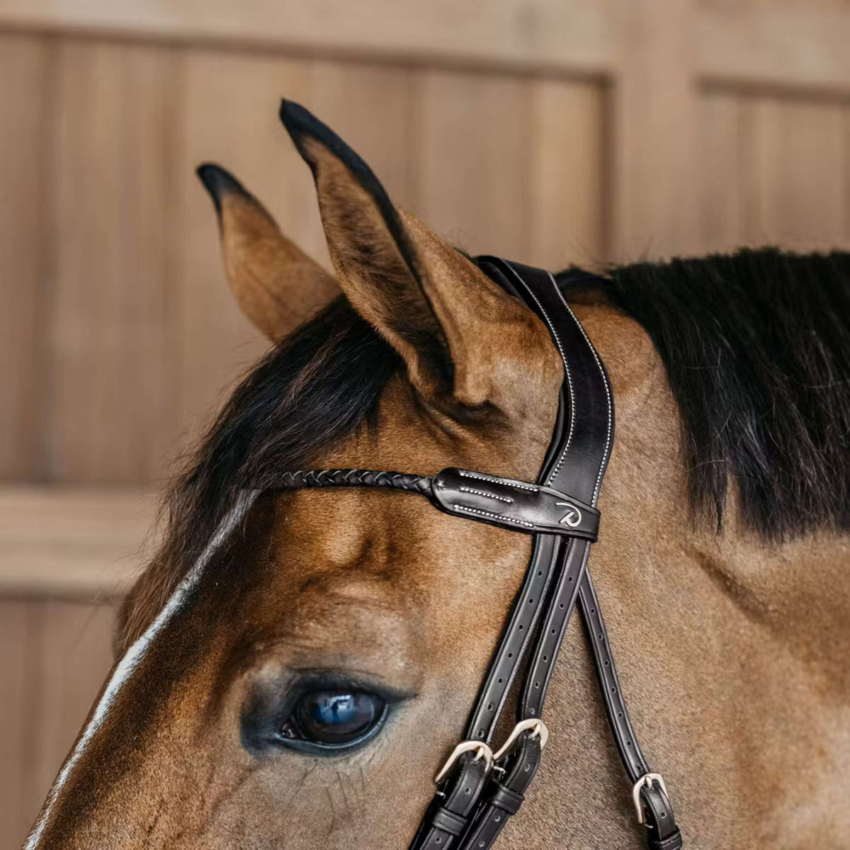 Dyon Frontriem Braided Zwart