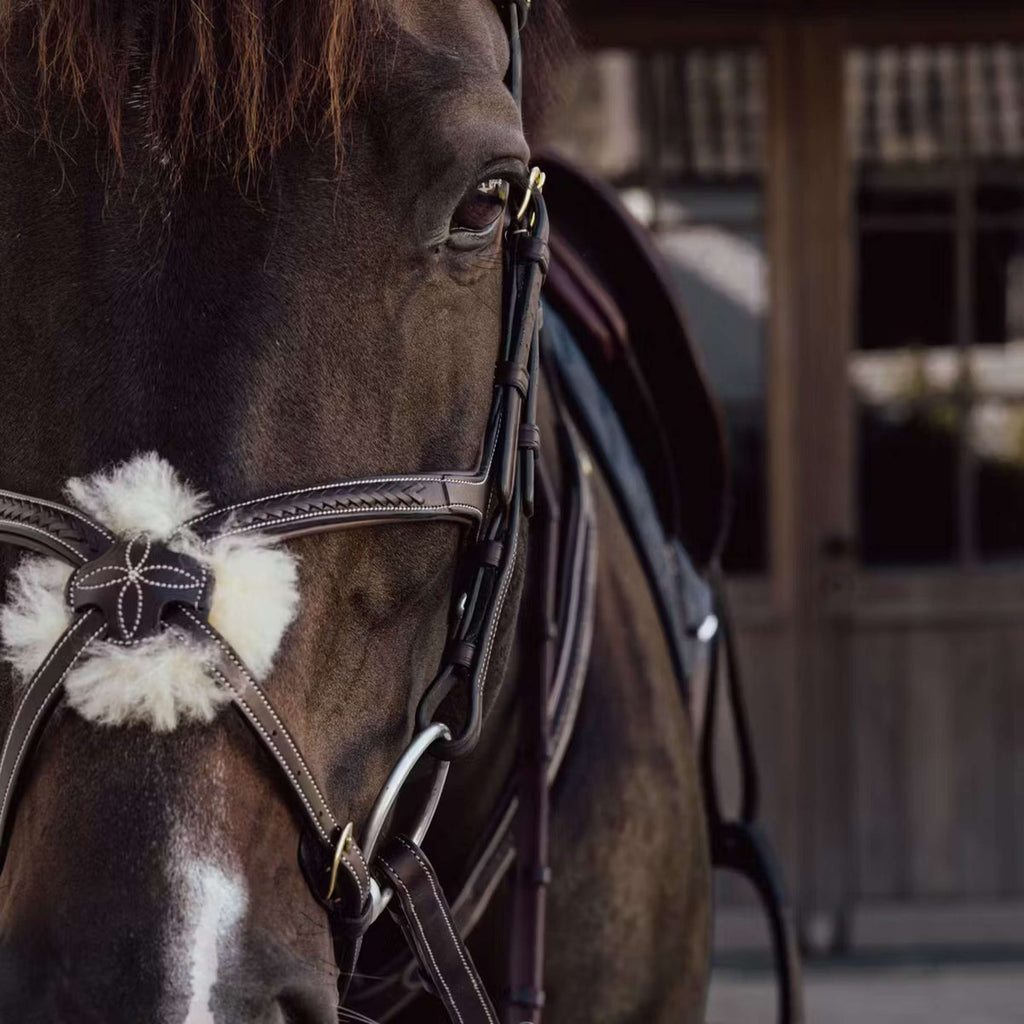 Dyon Mexicaanse Neusriem Gewoven Bruin