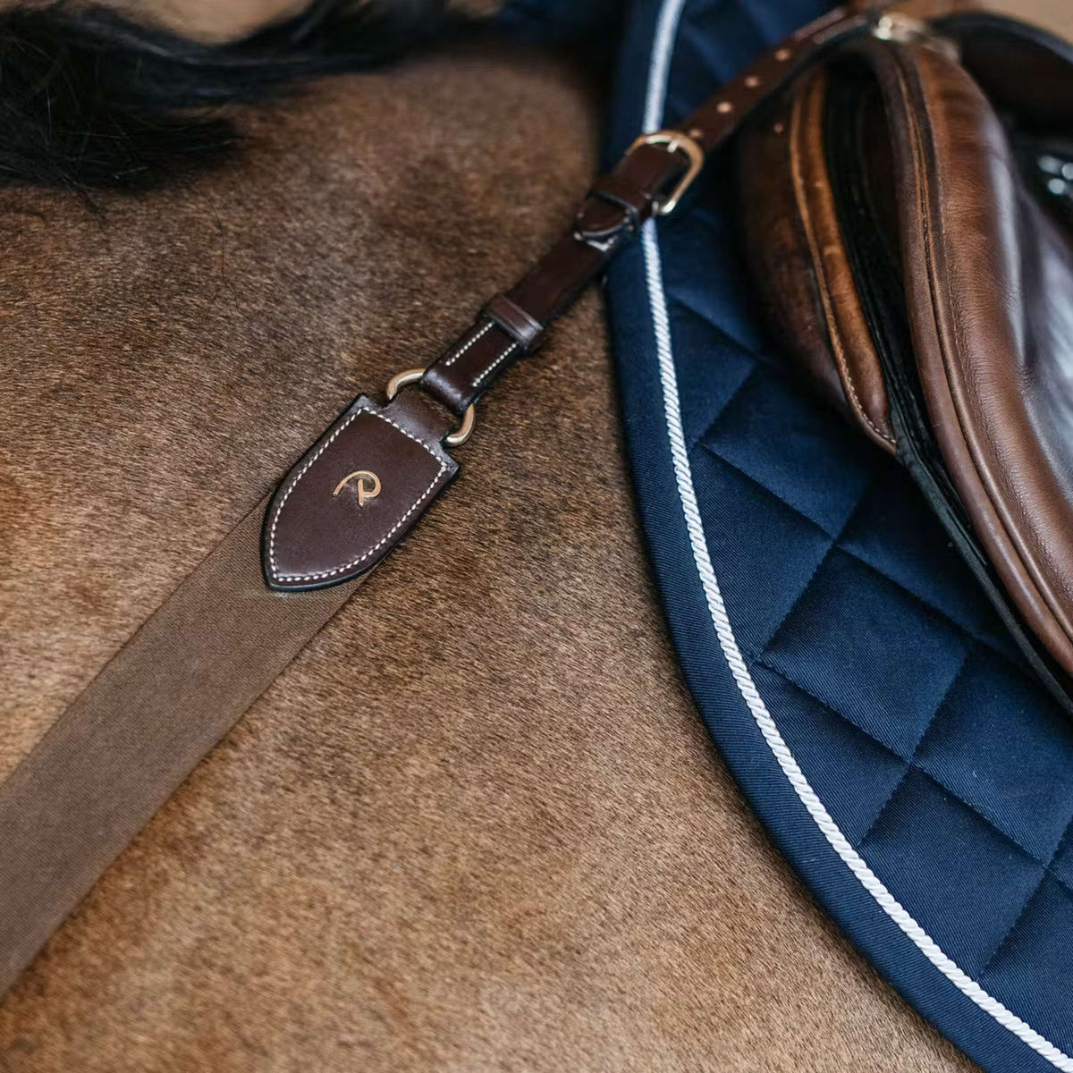 Dyon Borsttuig Elastic Bruin