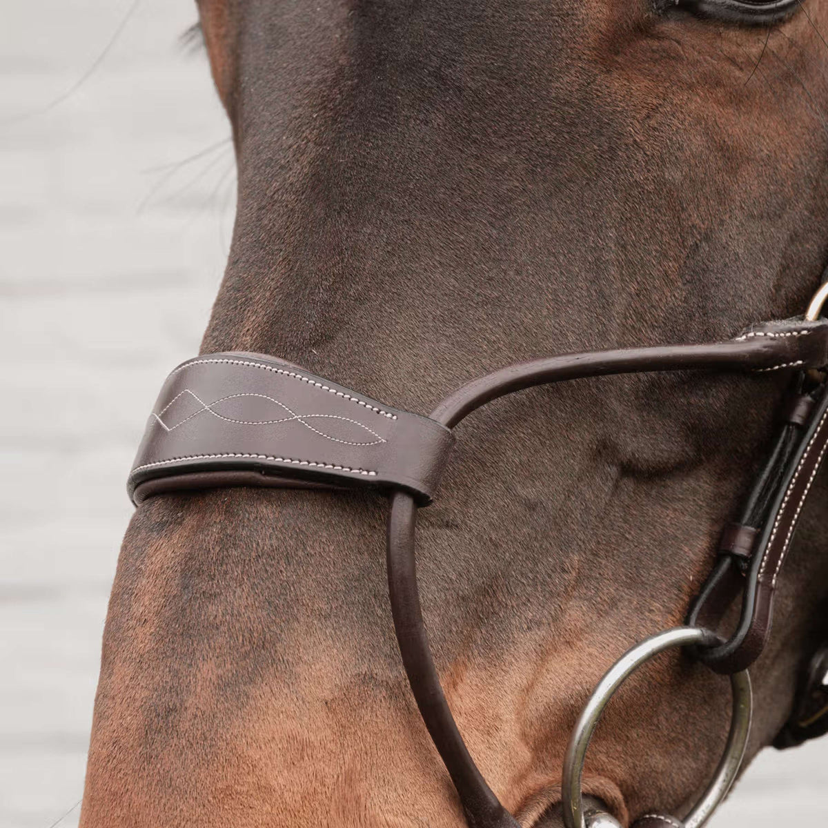 Dyon Neusriem Hybrid Bruin