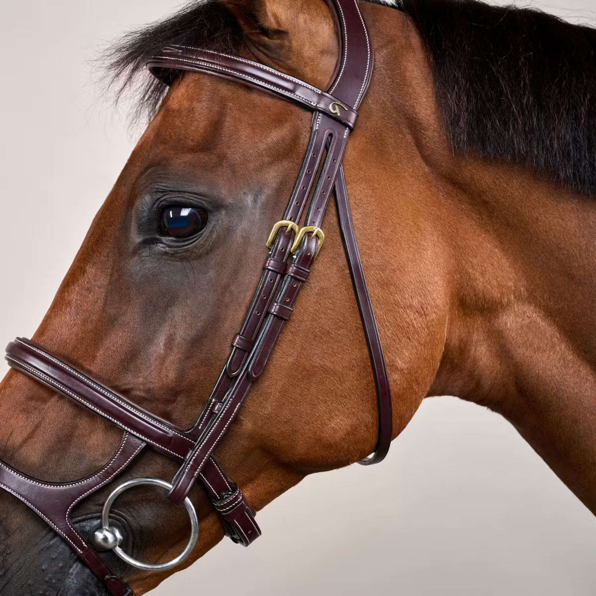Dyon Hoofdstel Dubbele Neusriem Bruin