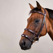 Dyon Hoofdstel Dubbele Neusriem Bruin