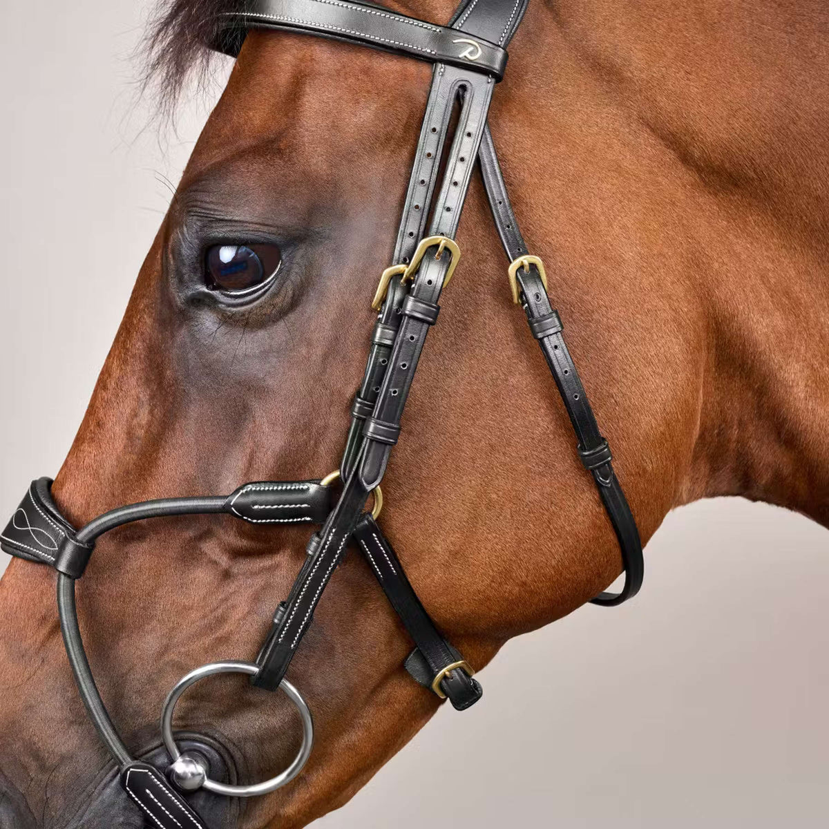 Dyon Hoofdstel Elastic Hybrid Zwart