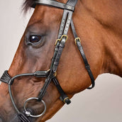 Dyon Hoofdstel Elastic Hybrid Zwart