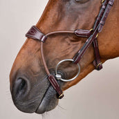 Dyon Hoofdstel Elastic Hybrid Bruin
