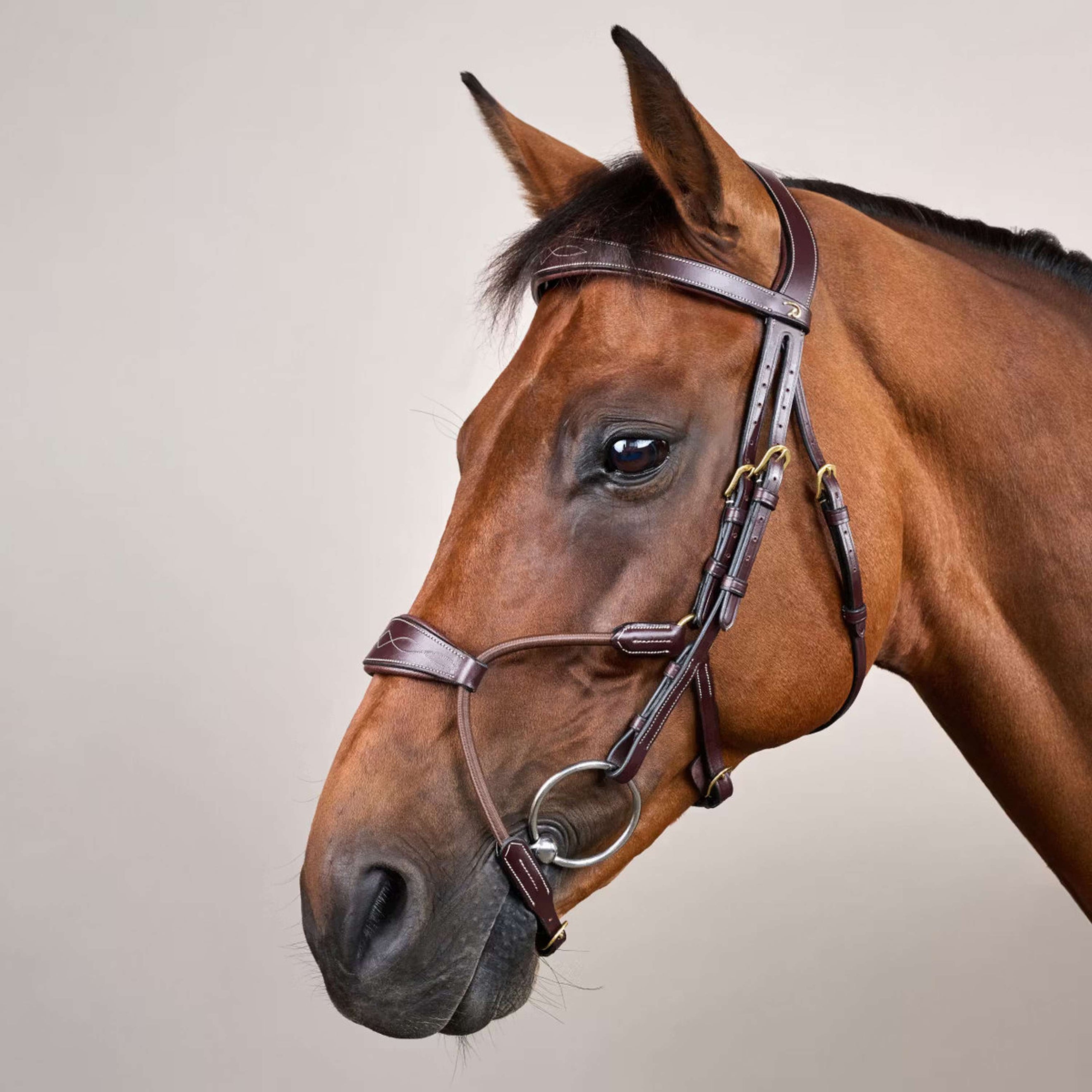 Dyon Hoofdstel Elastic Hybrid Bruin Dyon Hoofdstel Elastic Hybrid Bruin