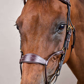 Dyon Hoofdstel Hybrid Bruin