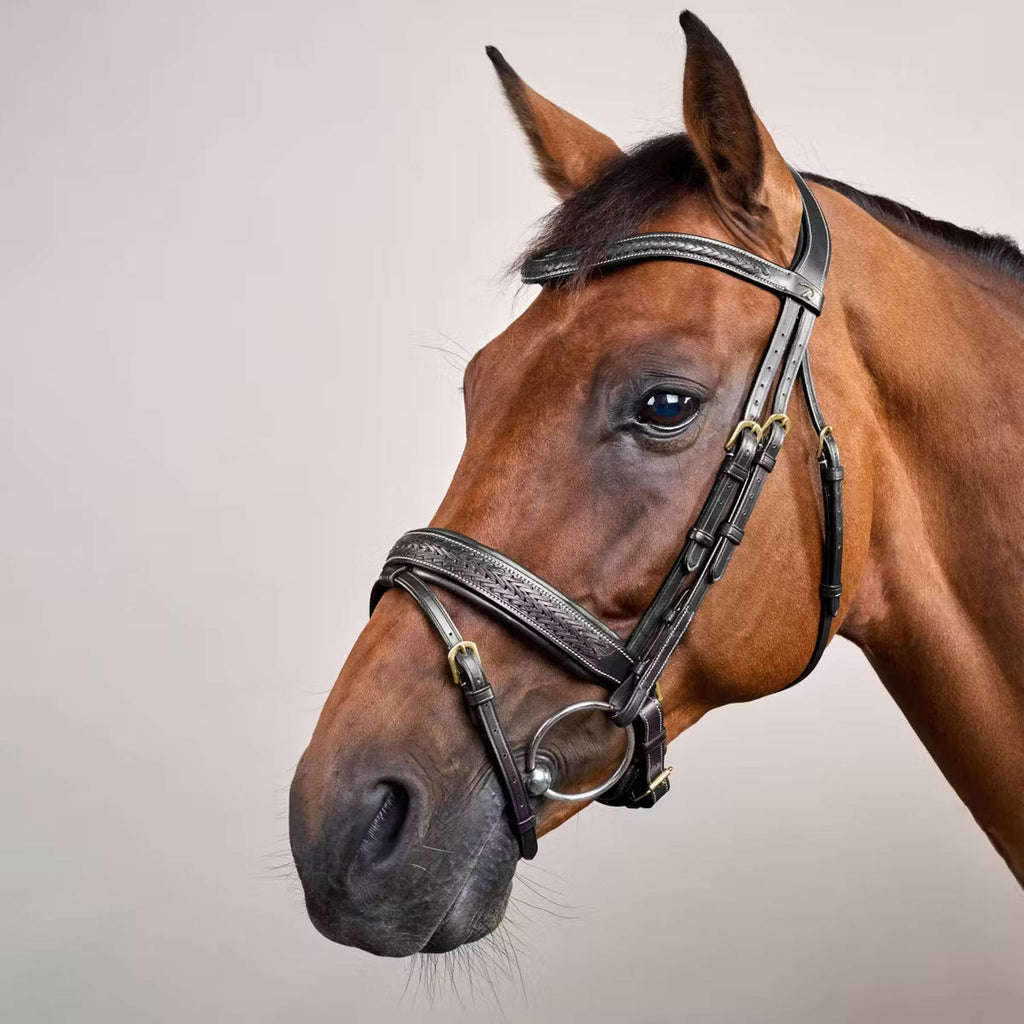 Dyon Hoofdstel Pull-Back Gewoven Zwart