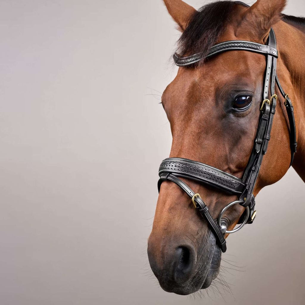 Dyon Hoofdstel Pull-Back Gewoven Zwart