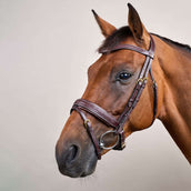 Dyon Hoofdstel Pull-Back Gewoven Bruin