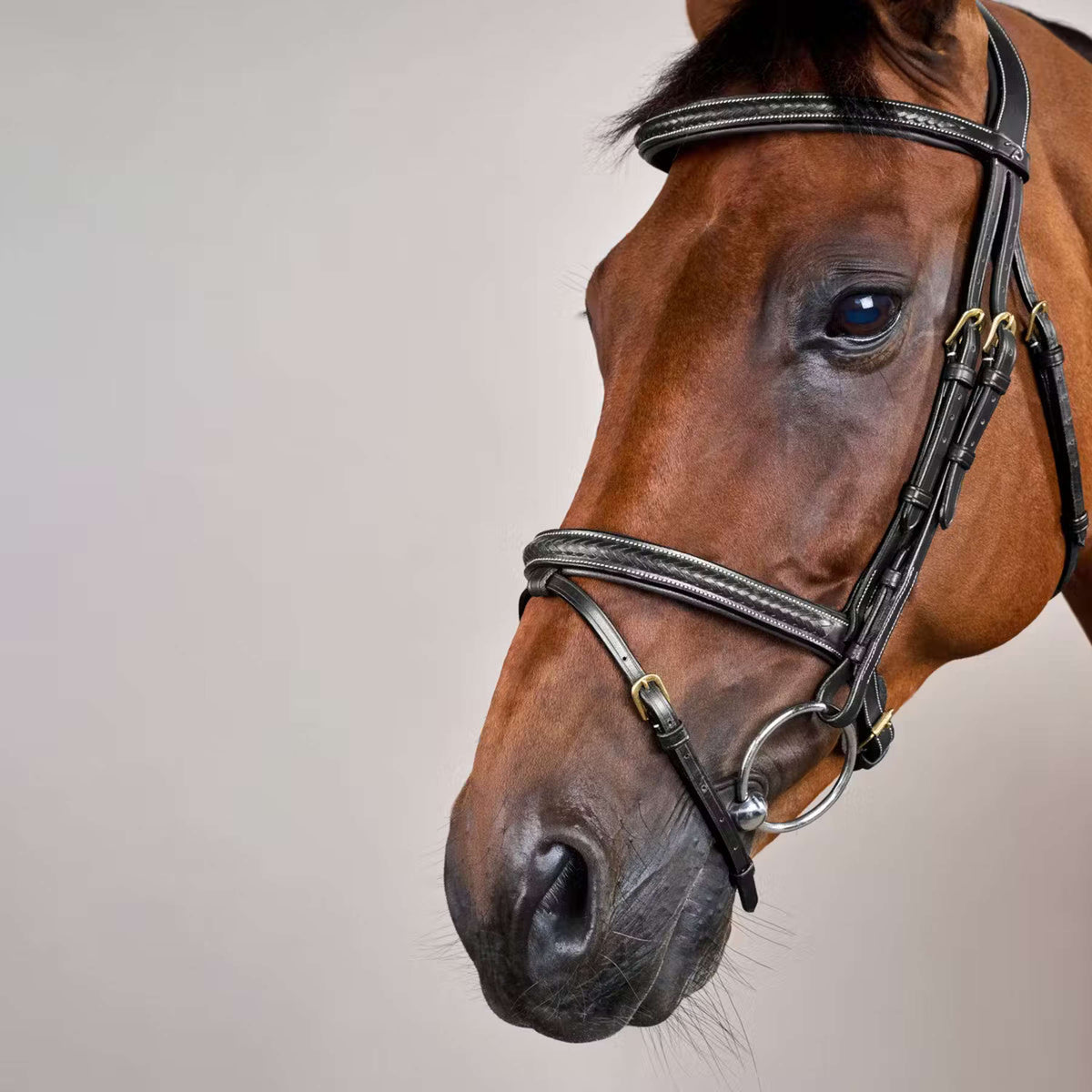 Dyon Hoofdstel Gewoven Zwart